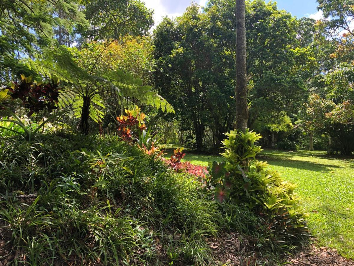 Villa Honeybee House Kuranda Exterior foto