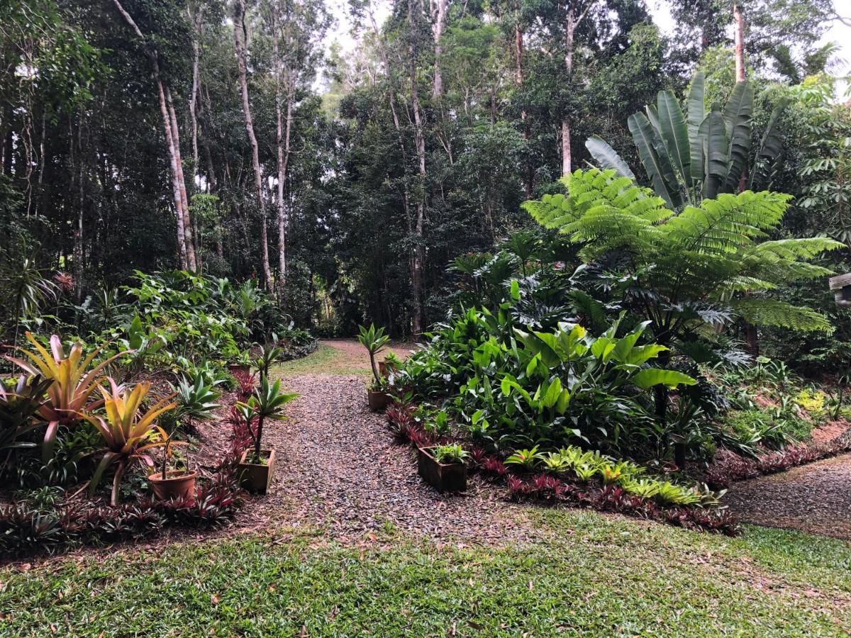 Villa Honeybee House Kuranda Exterior foto